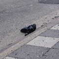 Discarded Umbrella Carcasses, NYC