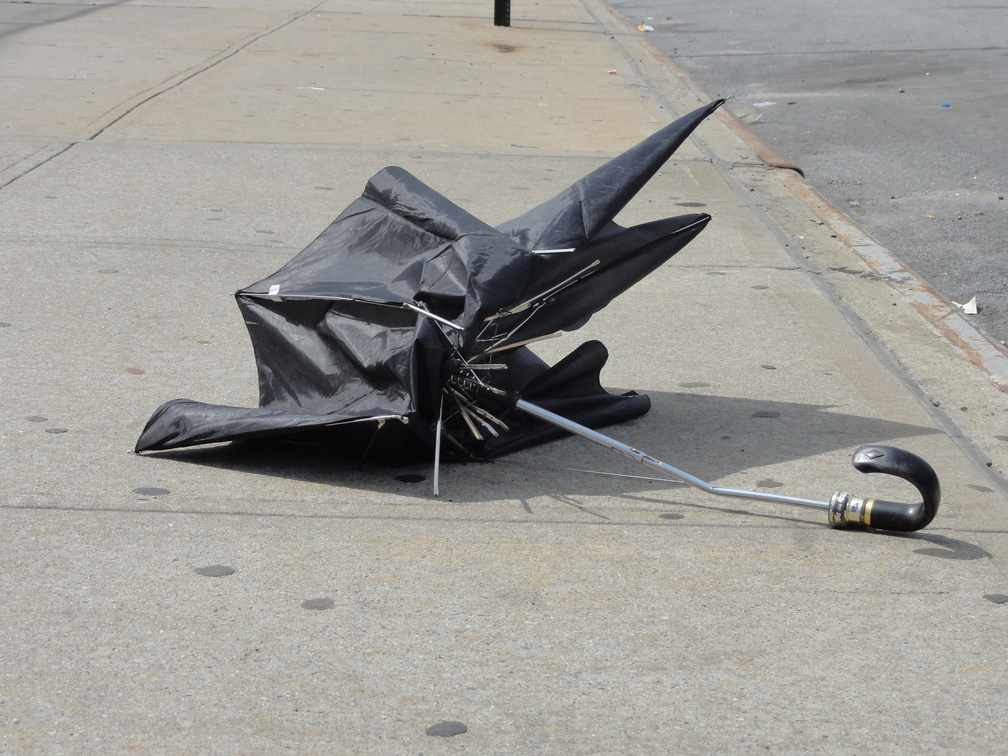 Discarded Umbrella Carcasses, NYC