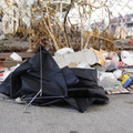 Discarded Umbrella Carcasses, NYC