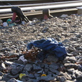 Discarded Umbrella Carcasses, NYC