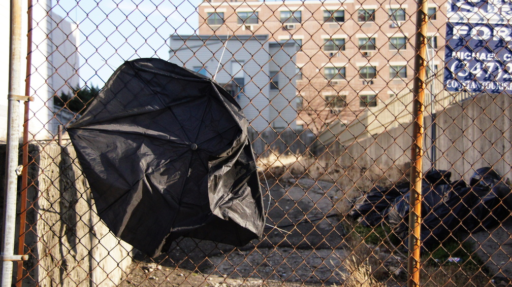 Discarded Umbrella Carcasses, NYC