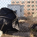 Discarded Umbrella Carcasses, NYC