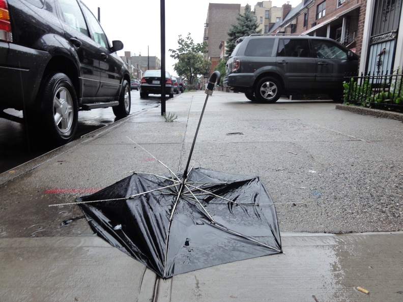 Discarded Umbrella Carcasses, NYC