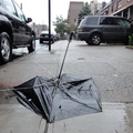 Discarded Umbrella Carcasses, NYC