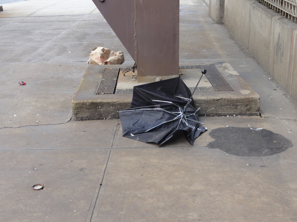 Discarded Umbrella Carcasses, NYC