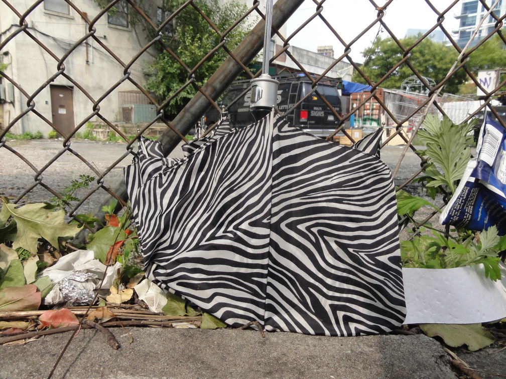 Discarded Umbrella Carcasses, NYC