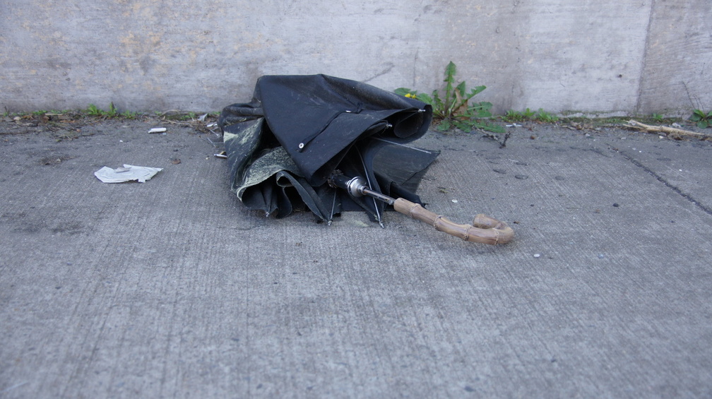 Discarded Umbrella Carcasses, NYC