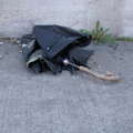 Discarded Umbrella Carcasses, NYC