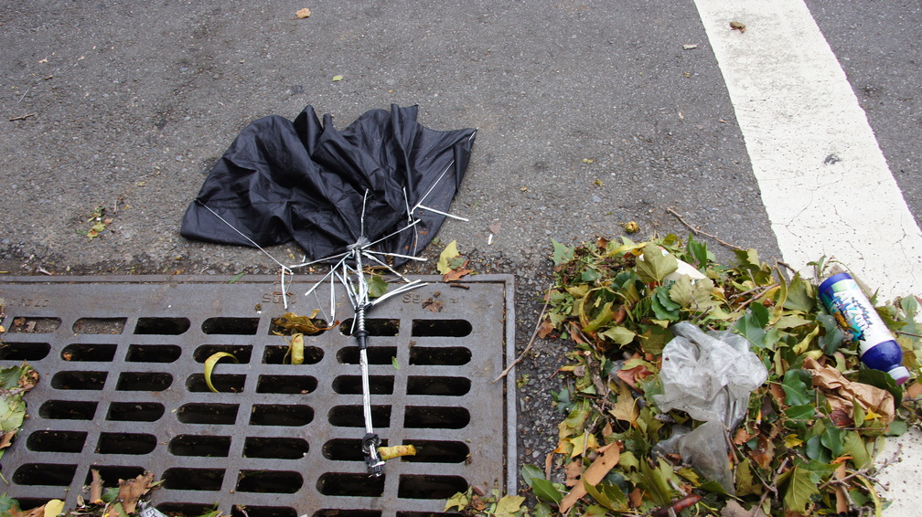 Discarded Umbrella Carcasses, NYC