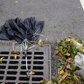 Discarded Umbrella Carcasses, NYC