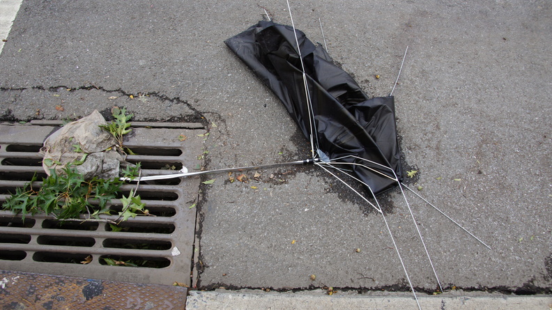 Discarded Umbrella Carcasses, NYC