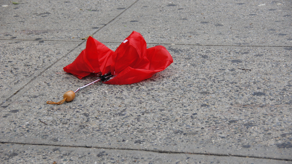 Discarded Umbrella Carcasses, NYC