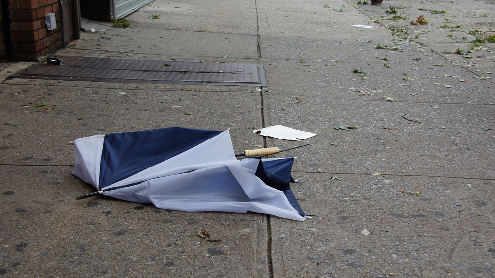 Discarded Umbrella Carcasses, NYC