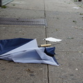 Discarded Umbrella Carcasses, NYC