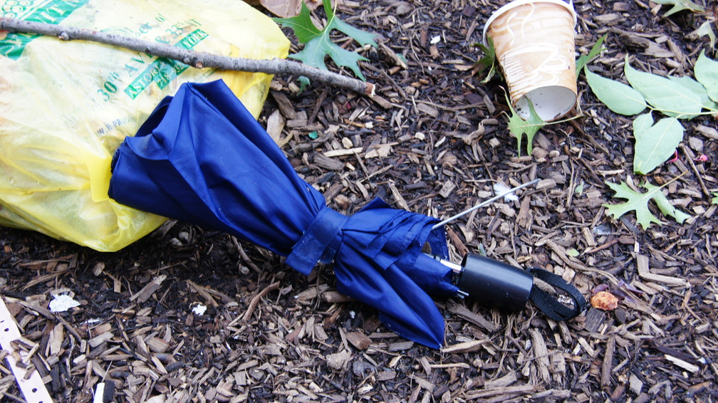 Discarded Umbrella Carcasses, NYC