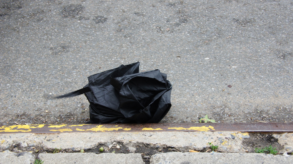 Discarded Umbrella Carcasses, NYC