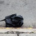 Discarded Umbrella Carcasses, NYC