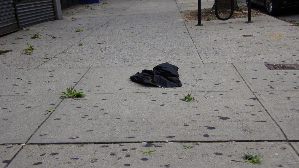 Discarded Umbrella Carcasses, NYC