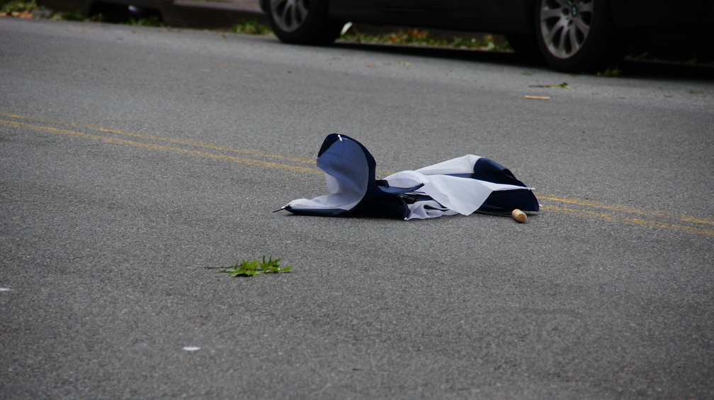 Discarded Umbrella Carcasses, NYC