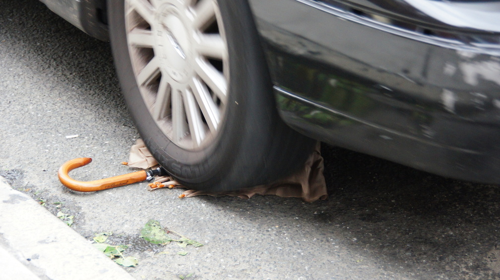 Discarded Umbrella Carcasses, NYC