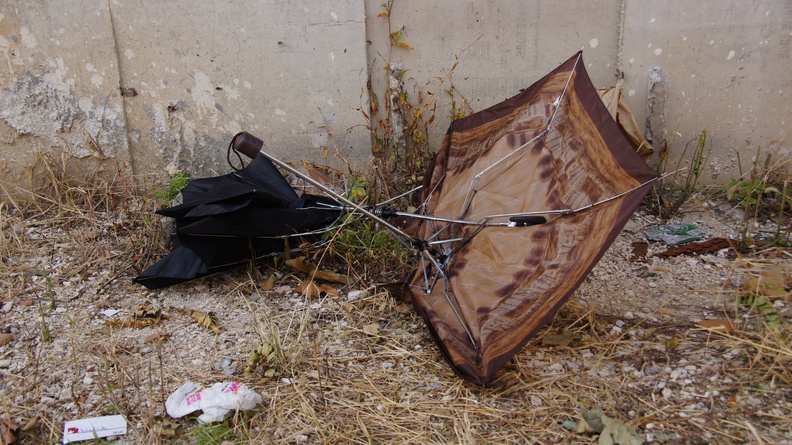 Discarded Umbrella Carcasses, NYC