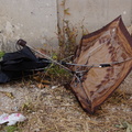 Discarded Umbrella Carcasses, NYC