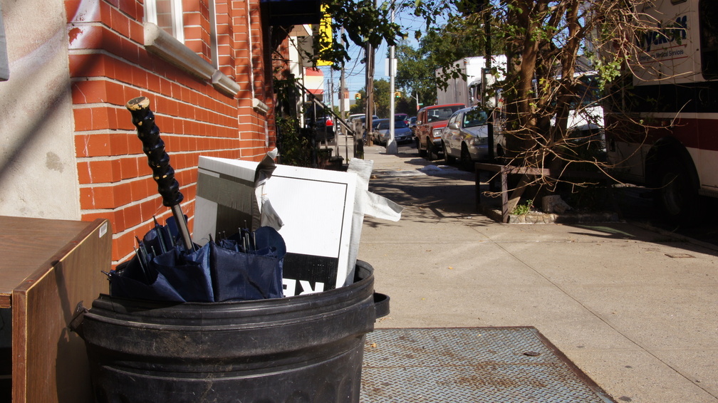 Discarded Umbrella Carcasses, NYC