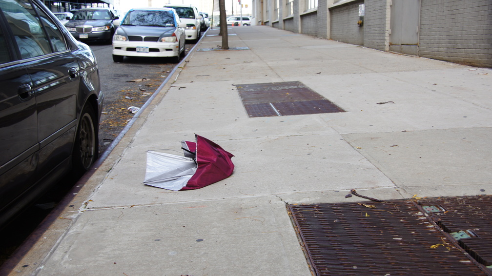 Discarded Umbrella Carcasses, NYC