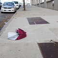 Discarded Umbrella Carcasses, NYC