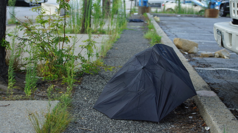 Discarded Umbrella Carcasses, NYC