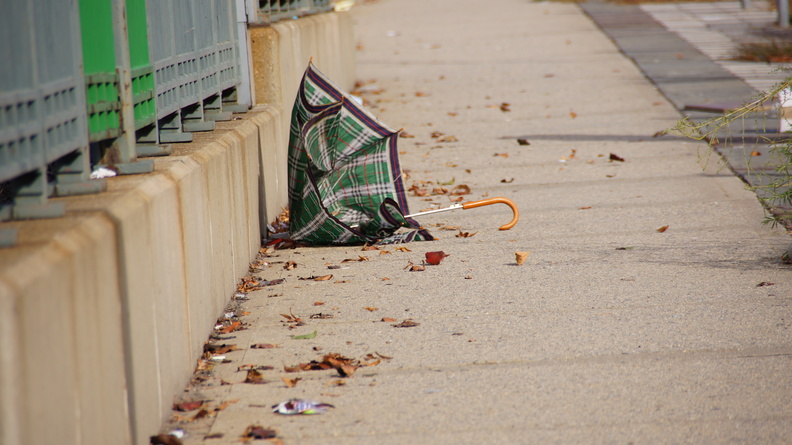 Discarded Umbrella Carcasses, NYC