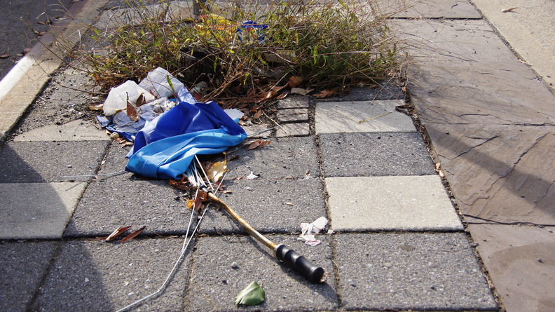 Discarded Umbrella Carcasses, NYC