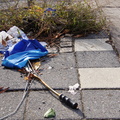 Discarded Umbrella Carcasses, NYC