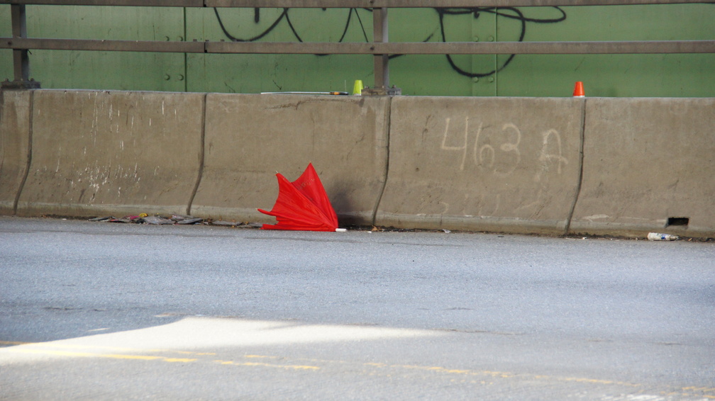 Discarded Umbrella Carcasses, NYC