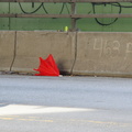 Discarded Umbrella Carcasses, NYC