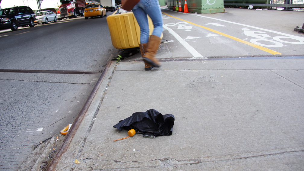 Discarded Umbrella Carcasses, NYC