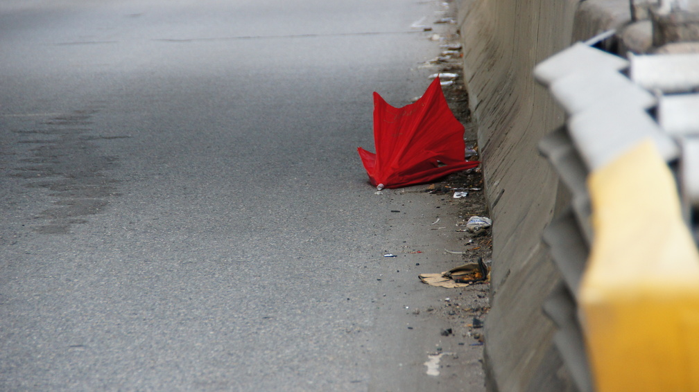 Discarded Umbrella Carcasses, NYC