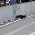 Discarded Umbrella Carcasses, NYC