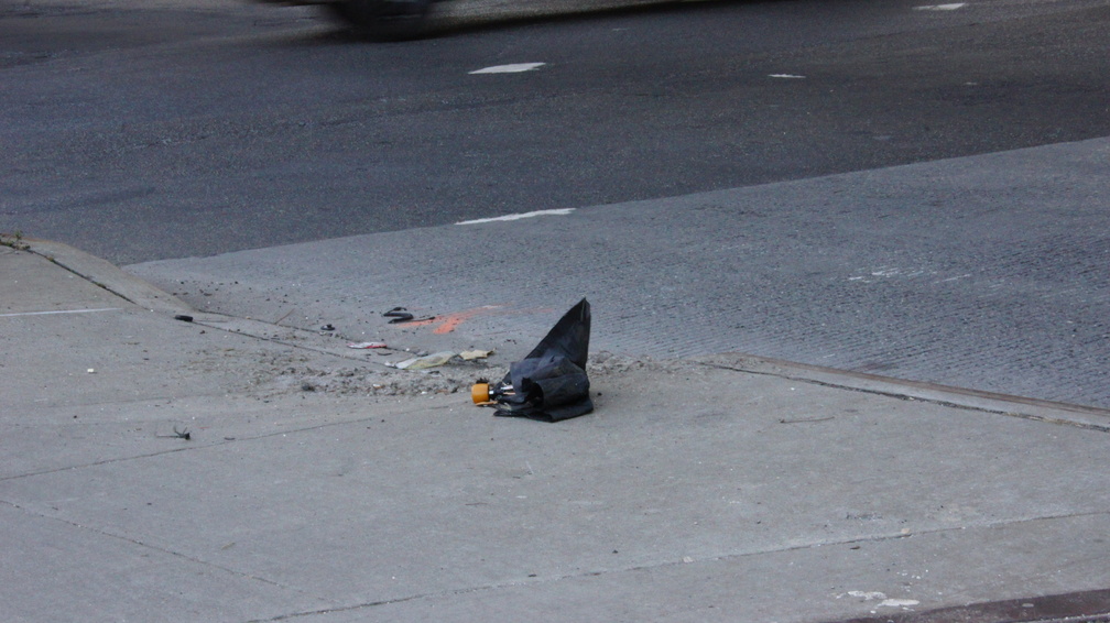 Discarded Umbrella Carcasses, NYC