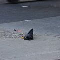 Discarded Umbrella Carcasses, NYC