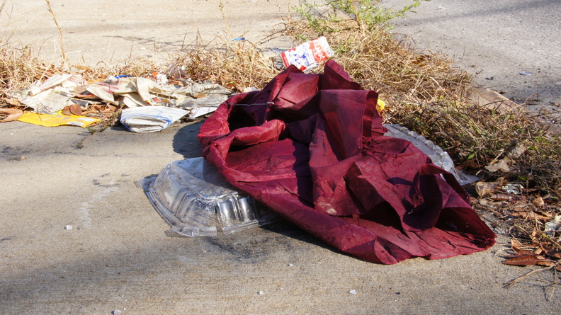 Discarded Umbrella Carcasses, NYC