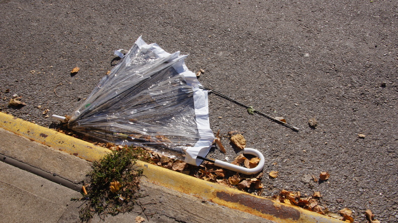 Discarded Umbrella Carcasses, NYC