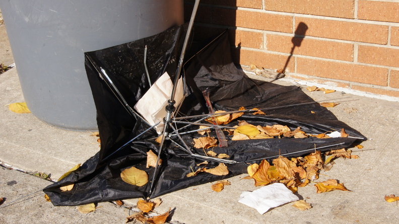 Discarded Umbrella Carcasses, NYC