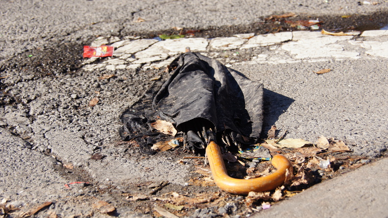 Discarded Umbrella Carcasses, NYC