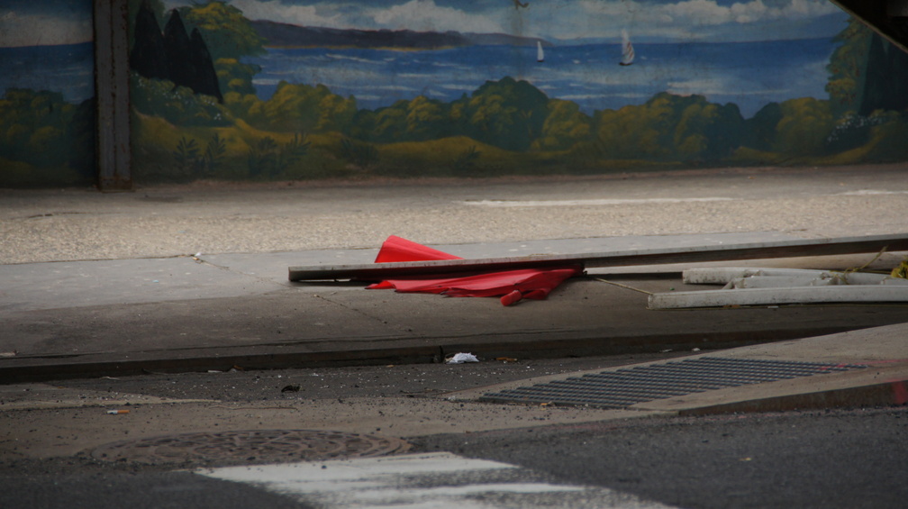 Discarded Umbrella Carcasses, NYC