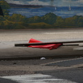 Discarded Umbrella Carcasses, NYC