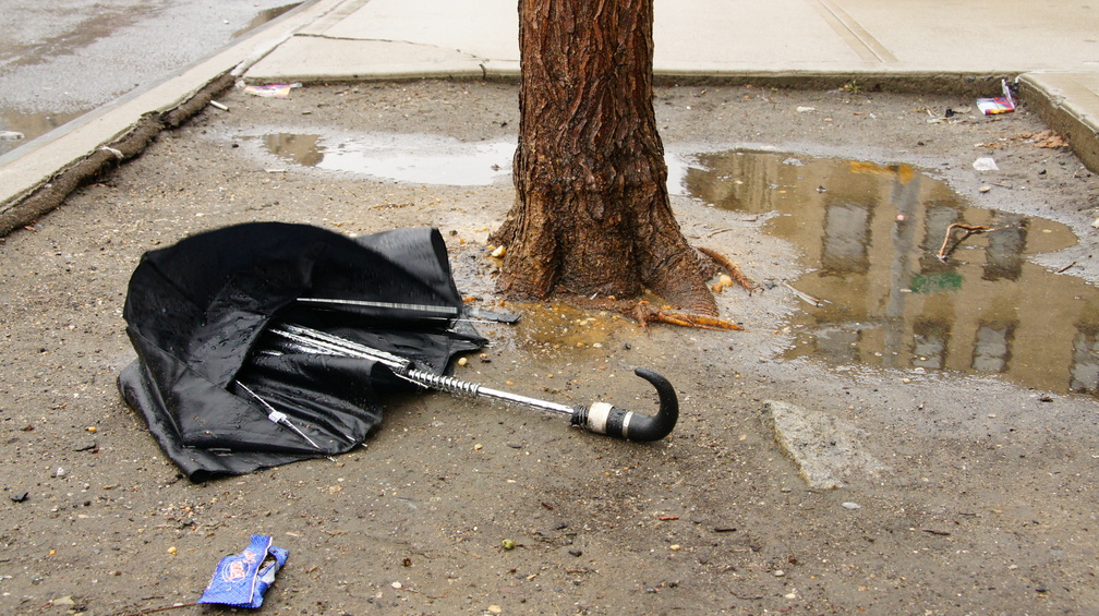 Discarded Umbrella Carcasses, NYC