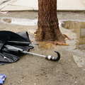 Discarded Umbrella Carcasses, NYC