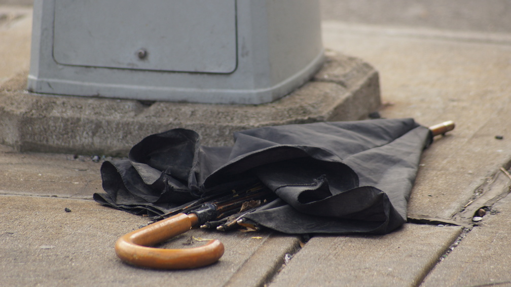 Discarded Umbrella Carcasses, NYC