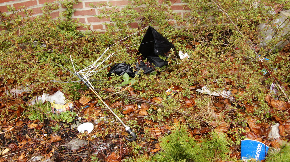 Discarded Umbrella Carcasses, NYC